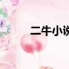 二牛小說網無彈窗（二牛中文網）