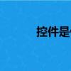 控件是什么東西（控件是什么）
