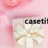 casetify手機殼（cas no查詢）