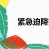 緊急迫降完全版（緊急迫降演員表）