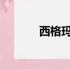 西格瑪特爾高清音頻編解碼器