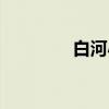 白河小鳥歌曲（白河小鳥）