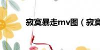 寂寞暴走mv圖(寂寞暴走mv)