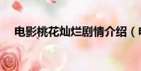 電影桃花燦爛劇情介紹(電影桃花燦爛)