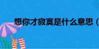 想你才寂寞是什么意思(想你才寂寞)