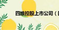 四維控股上市公司(四維控股)