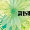 夏傷歌詞完整版（夏傷歌詞）