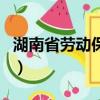 湖南省勞動保障局的電話（湖南省勞動保障網）