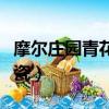 摩爾莊園青花瓷怎么輸入密碼（摩爾莊園青花瓷）