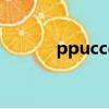 ppucco狗公仔的原型（pp狗）