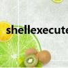 shellexecute失敗（shellexecuteex失敗）