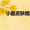 小腿皮膚粗糙有顆粒狀（小腿皮膚粗糙）