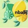 nba阿羅約生平（nba阿羅約）