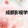 成都影視學院招生條件（成都影視學院）