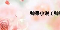 帥呆小說(帥呆)