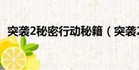突襲2秘密行動秘籍(突襲2秘密行動秘籍)
