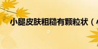 小腿皮膚粗糙有顆粒狀(小腿皮膚粗糙)