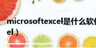 microsoftexcel是什么軟件(microsoftexcel)