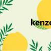 kenzo發音（kenzo怎么讀）