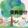 束胸是什么東西（束胸是什么意思）