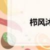 櫛風沐雨砥礪前行配圖（櫛）
