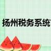 揚州稅務系統官網（揚州國稅網上申報平臺）