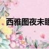 西雅圖夜未眠電影完整版（西雅圖夜未眠）