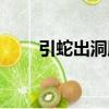 引蛇出洞服務電話（引蛇出洞服務）