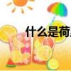 什么是荷里活（荷里活是什么意思）