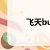 飛天bug教學（飛天魔像bug）