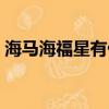 海馬海福星有什么缺點（海馬海福星怎么樣）