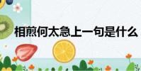 相煎何太急上一句是什么(相煎何太急)