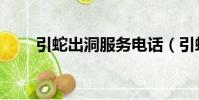 引蛇出洞服務電話(引蛇出洞服務)