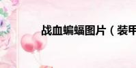 戰血蝙蝠圖片(裝甲血蝙蝠)