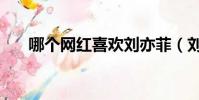 哪個網紅喜歡劉亦菲(劉亦菲被強奸)