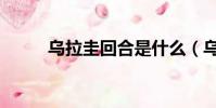 烏拉圭回合是什么(烏拉圭回合)