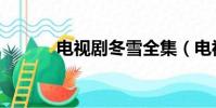 電視劇冬雪全集(電視劇冬雪)