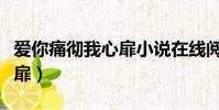 愛你痛徹我心扉小說在線閱讀(愛你痛徹我心扉)