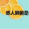 感人肺腑是什么意思（感人肺腑的意思）