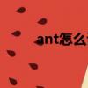 ant怎么讀發音語音（ant怎么讀）