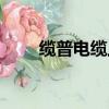 纜普電纜上海有限公司（纜普電纜）