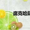 龐克哈薩德篇劇情（龐克哈薩德）