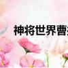 神將世界曹操星魂（神將世界曹丕配招）