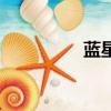 藍星腦洞所（藍星新材）