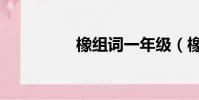 橡組詞一年級(橡組詞)