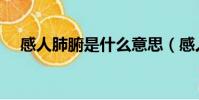 感人肺腑是什么意思(感人肺腑的意思)