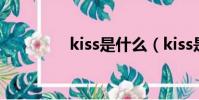 kiss是什么(kiss是什么)