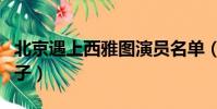 北京遇上西雅圖演員名單(北京遇上西雅圖種子)