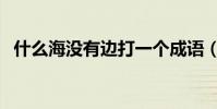 什么海沒有邊打一個成語(什么海沒有邊)