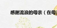 感謝流浪的母親(在母親心里流浪)